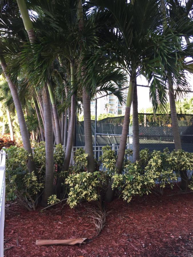 Disfruta Sunny Isles Ocean 1206 Str-02816 Apartment Miami Beach Exterior photo